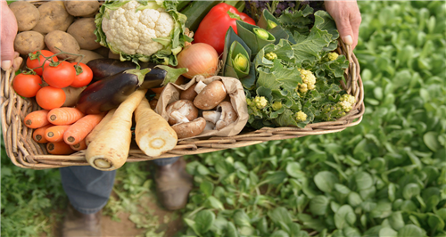 Organic Foods